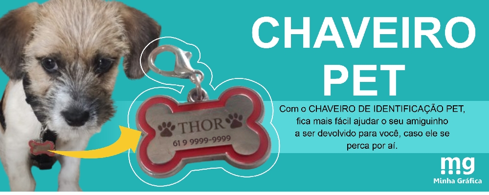 Chaveiro identificação pet